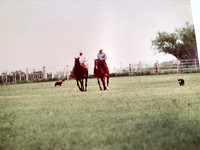 Bill & Harold Barry, Retama