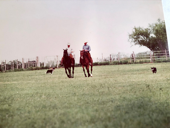 Bill & Harold Barry, Retama