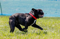 _E4I2094