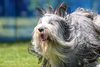 AE4I6322