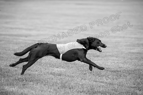 Prelims Rowan-0878-2