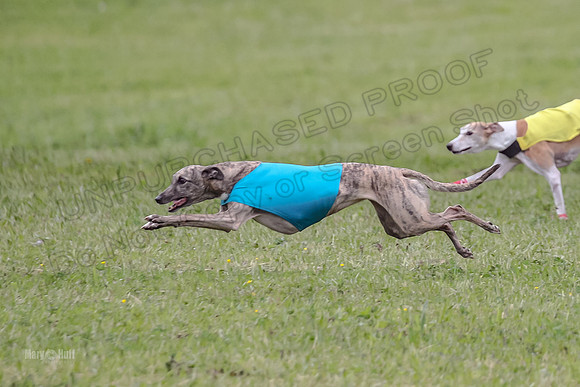 Prelim Veterans 1, Cheers Dora LittleBit-0072