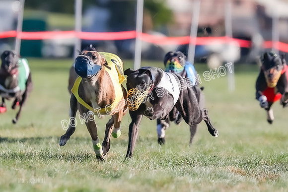 Prg 1, Race 14, Grim Zivah Beacon Cherry Pie Siggy Riggs-9216
