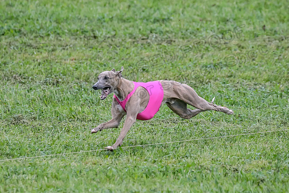 Prelim Open E2, Riddle Finely Scarlet-4885