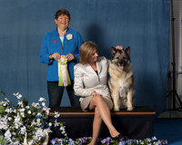 Elkhound 2020-1158