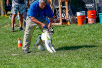 Silken Windhound Prelim, Finnegan-2943