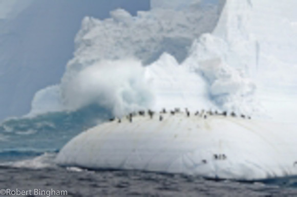 EN4531_038