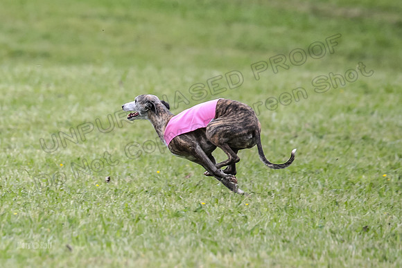 Prelim Veterans 3, Hattie Marley Jewel-0160