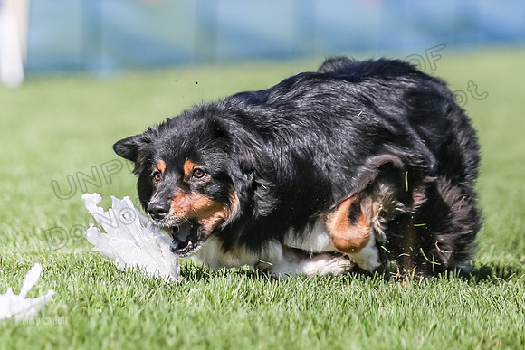 AE4I5870