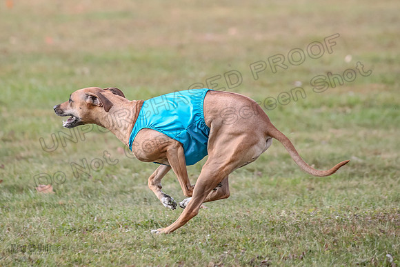 1 prelims Fch 2 Remmy Opal Oslay-6290