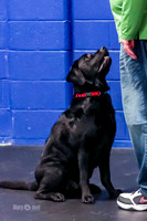 AE4I0986