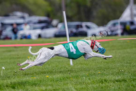 NOTRA Program 2, Race 7, Ragnar Power Sandy Elvis-2-15