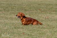 IMG_1839