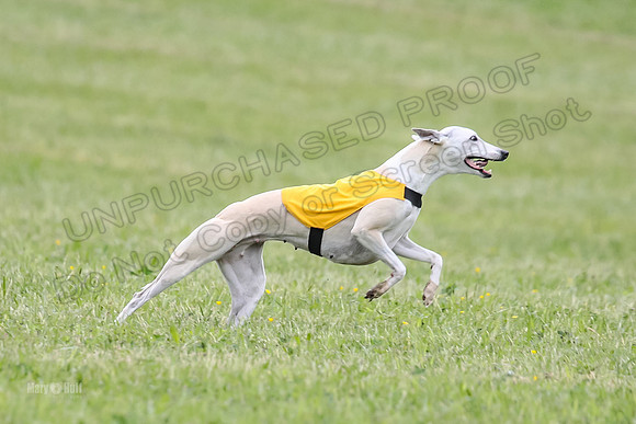 Prelim Veterans 3, Hattie Marley Jewel-0166