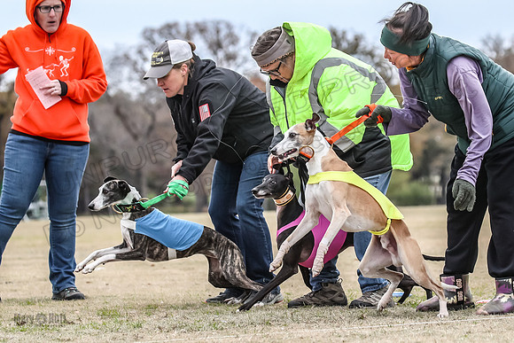 Finals Open 3 Scorch Shine Kashi-4010