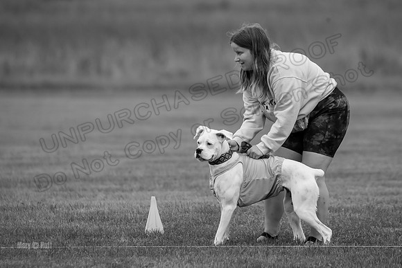 Prelims Nilla-0884-2