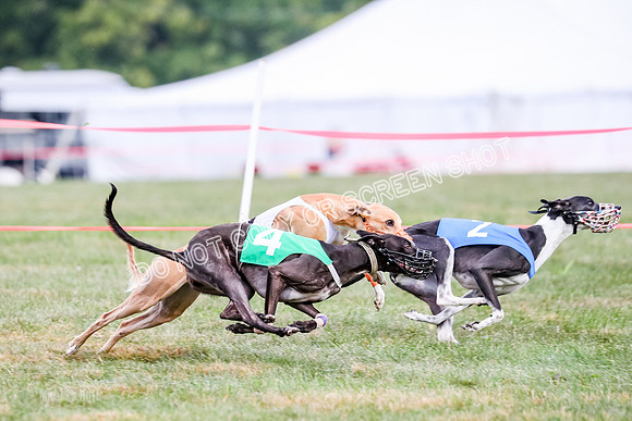 Prg 1, Race 16, Carl Maybe Bookie Sealli-0978