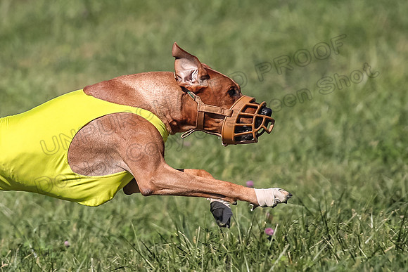 AE4I9067