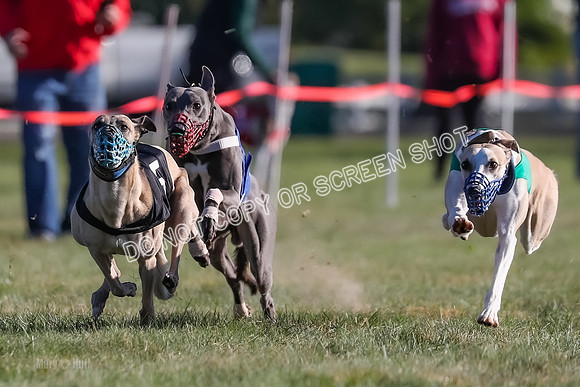 Prg 1, Race 18, Hillary Axl Chase Joplin Rum-9272
