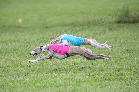 Prelim Open E5, Scorch Cobalt Kiwi-9157