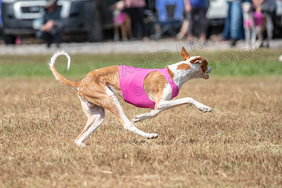 Finals Specials B1 Sketti Fable Libby-1417