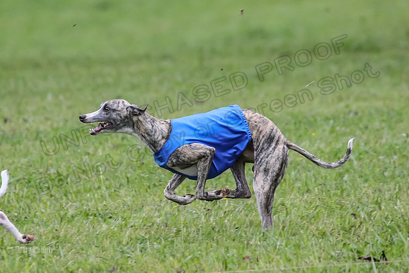Prelim Open E1, Rip Mateo Maverick-9027