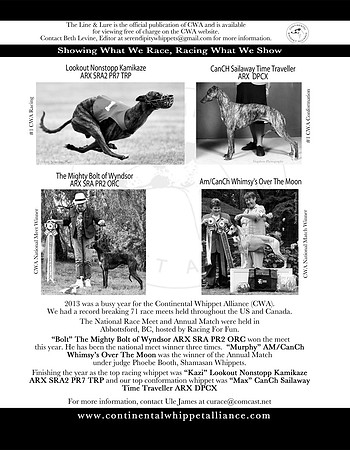 CWA 2013