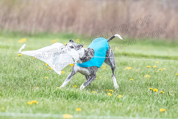 Finals Fch A1 Whisper Treble JesseJames-9115
