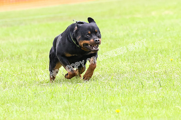 MCH78972