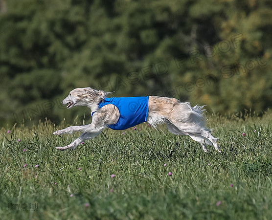 1 Prelims Fch 2 Chyna Joker Lizzie-5724