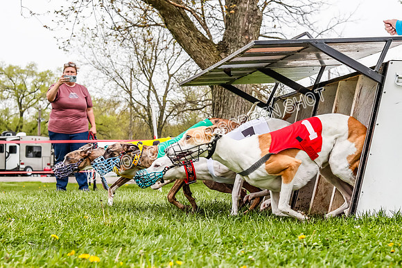 WRA, Prg 3, Race 2, Dash, Buzzsaw Elvis Mika Moonstruck-9127