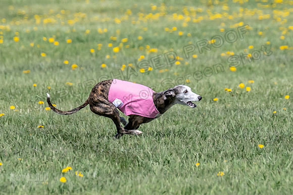 1Prelims Veterans 1 Rosa Marley Luna-1604