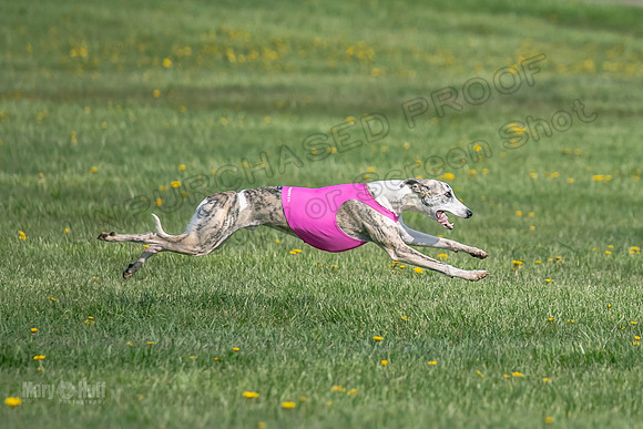 1Prelims Open E1 Boujee Riptide Zaza-0740