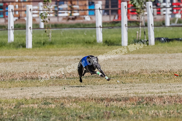 Open 1, Final, Zuma-Quinn-Flint-4921