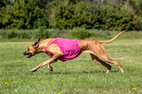 Prelims Fch 1 Islay Opal-5162
