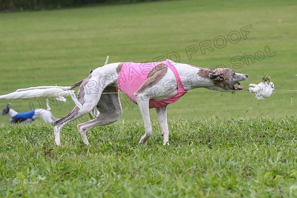 Finals Open A2, Lydia Audrey Misty-6705