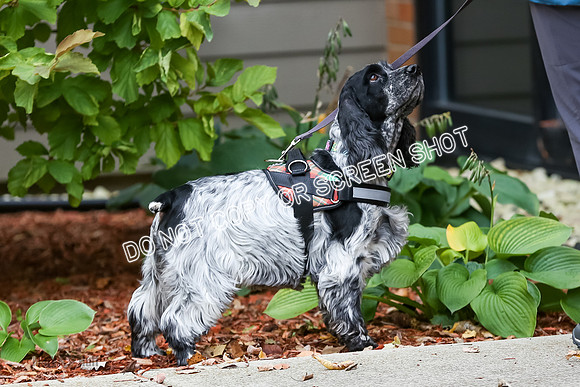 MCH58563