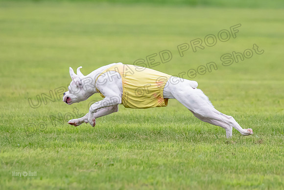Prelims Nilla-0885