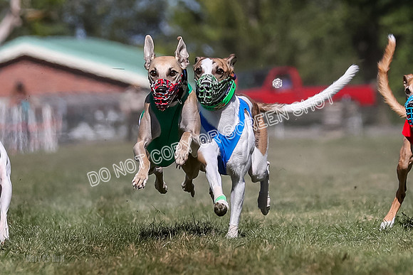 Prg 4, Race 7, Seavey Gnocchi Lilly Zeus Griffey Sparks-0267-2