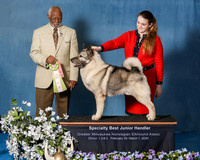Elkhound 2020-1176-Edit