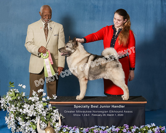 Elkhound 2020-1176-Edit