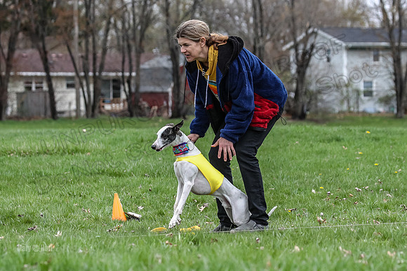 Finals Whippet Specials-4717