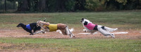 1 Prelims Vet Chase Imp Zip-0592