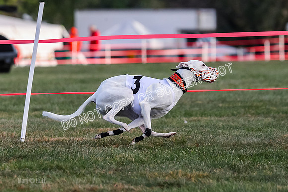 Prg 1, race 4, Rarity Hillary Barley Clyps-0653
