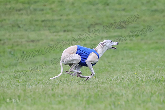 Prelim Open C1, Mizuno Prim Oscar-8600