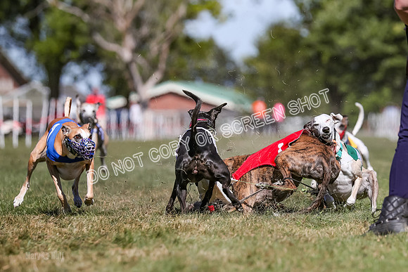 Prg 4, Race 1, Ruffian Flynn Nami Rigby Arrow Echo-0063-2
