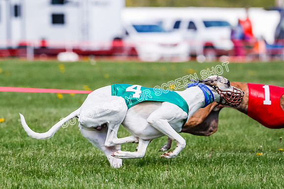 NOTRA Program 2, Race 8, Stoke Nami Nika Eddie-2-15