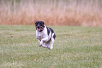 IMG_7801