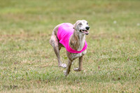 1 Prelims Open 1 AnnieOakley Fennec Zero-1248