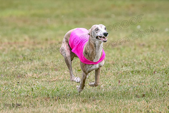 1 Prelims Open 1 AnnieOakley Fennec Zero-1248